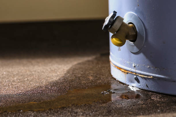 Best 24/7 water damage repair  in Holly Hill, SC