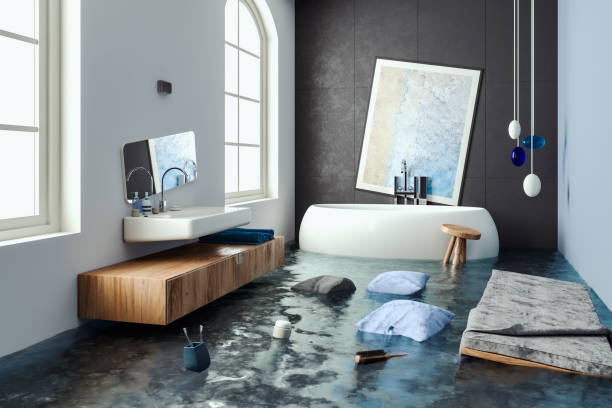 Best Flood restoration services  in Holly Hill, SC