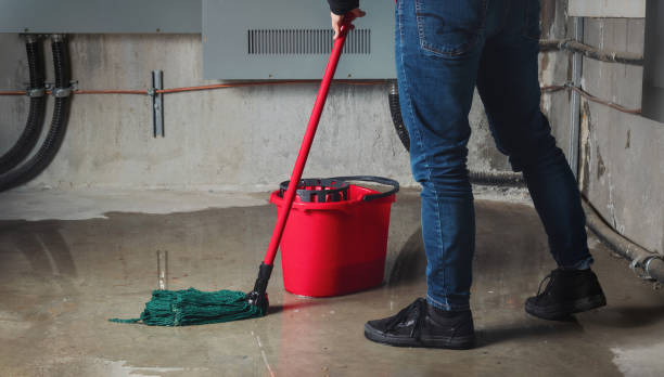 Best Ceiling water damage repair  in Holly Hill, SC