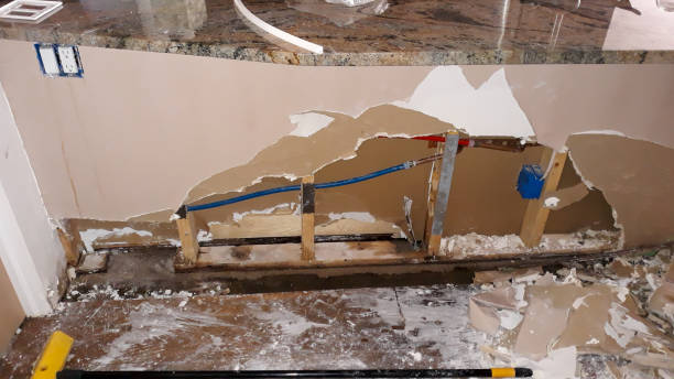Best 24-hour water damage restoration  in Holly Hill, SC