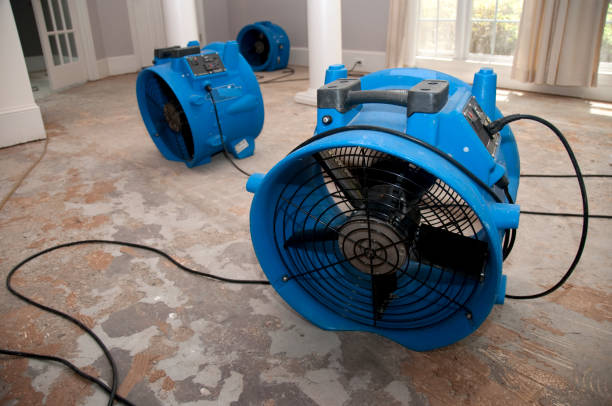 Best Sewage cleanup and water damage restoration  in Holly Hill, SC