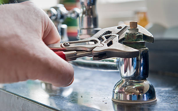 Best Water damage contractors near me  in Holly Hill, SC