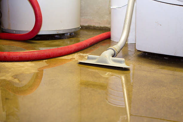 Best Ceiling water damage repair  in Holly Hill, SC