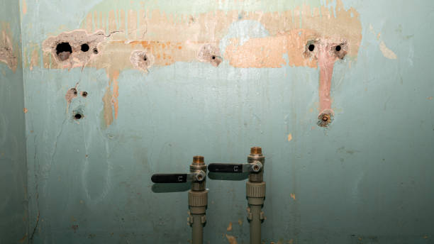 Best Flooded house restoration  in Holly Hill, SC