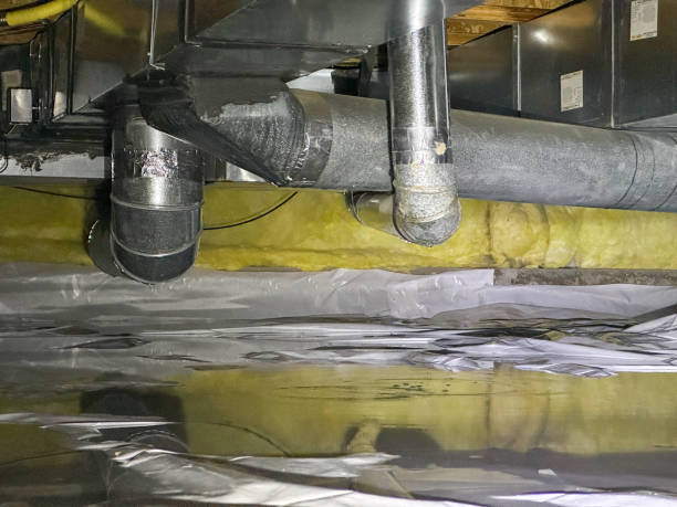 Best 24/7 water damage repair  in Holly Hill, SC