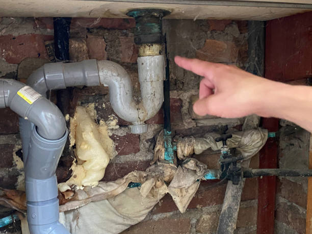 Best Professional water damage repair  in Holly Hill, SC