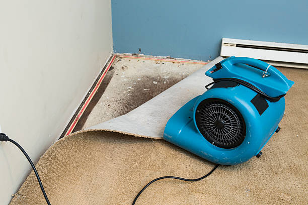  Holly Hill, SC Water damage restoration Pros